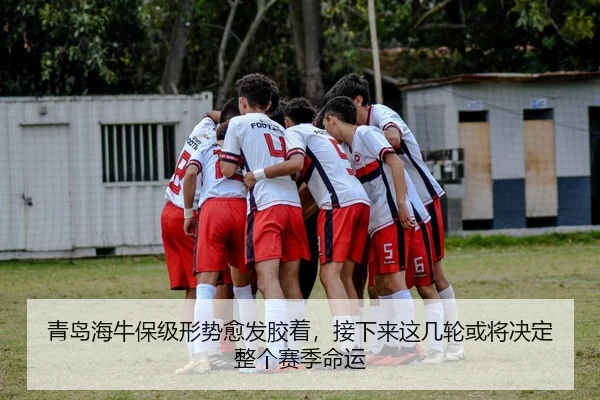 img_1781085783595_55_2_951.jpg